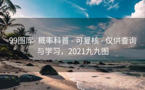 99图库- 概率科普 - 可复核 - 仅供查询与学习，2021九九图