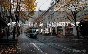 99图库- 一键查询 - 指标解释汇总页，9999图片