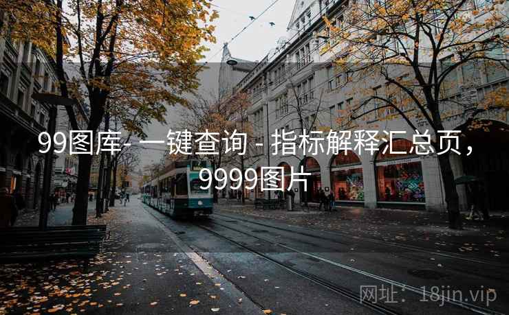 99图库- 一键查询 - 指标解释汇总页，9999图片